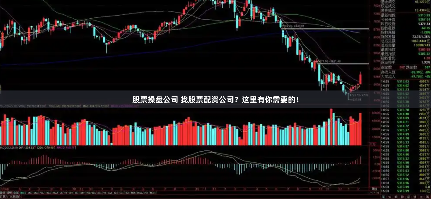 股票操盘公司 找股票配资公司？这里有你需要的！